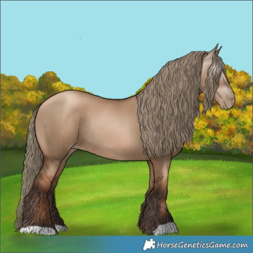 Horse Color:Gray Liver Red Dun Pearl Mushroom Rabicano