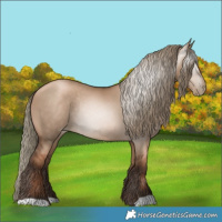 Horse Color:Gray Liver Red Dun Pearl Mushroom Rabicano 