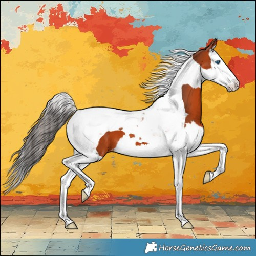 Horse Color:Bay Splash Tobiano Appaloosa 