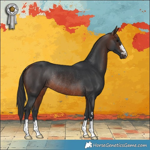 Horse Color:Brown Rabicano 