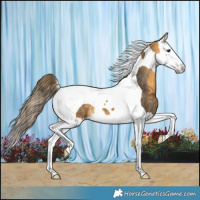 Horse Color:Buckskin Splash Tobiano Varnish 