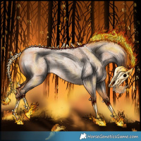 Horse Color:Red Roan 