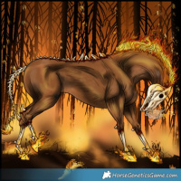 Horse Color:Gray Chestnut 