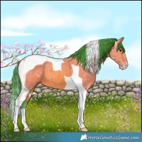 Horse Color:Watercolor Bay Tobiano 