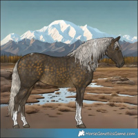 Horse Color:Silver Buckskin Tobiano 