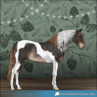 Horse Color:Liver Chestnut Tobiano Rabicano