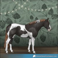 Horse Color:Liver Chestnut Tobiano Frame