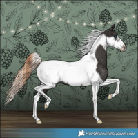 Horse Color:Liver Chestnut Tobiano Frame Rabicano 