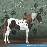 Horse Color:Liver Chestnut Tobiano 