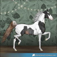Horse Color:White Spotted Liver Chestnut Tobiano Rabicano 