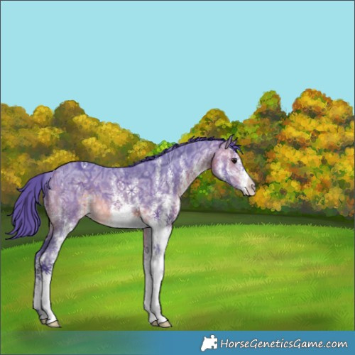 Horse Color:Watercolor White Spotted Brown Ice 