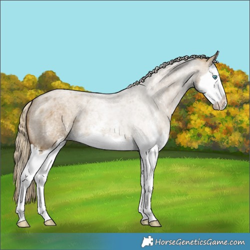 Horse Color:Chocolate Palomino Roan Dun Sabino Splash