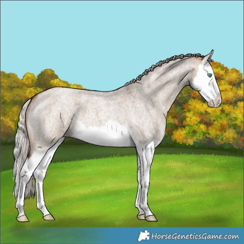 Horse Color:Silver Brown Roan Dun Splash