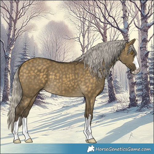 Horse Color:Silver Buckskin Dun 
