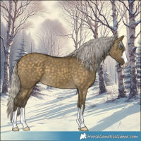Horse Color:Silver Buckskin Dun