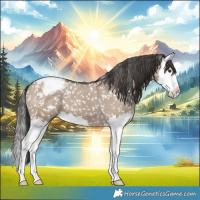 Horse Color:Liver Red Dun Splash Snowcap 