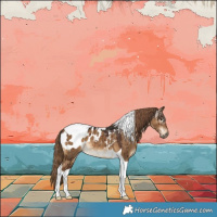 Horse Color:Gray Liver Red Dun Tobiano Appaloosa Brindle 