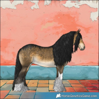 Horse Color:Gray Buckskin Dun Tobiano 