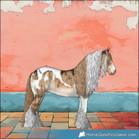 Horse Color:Gray Liver Red Dun Tobiano Appaloosa Brindle 