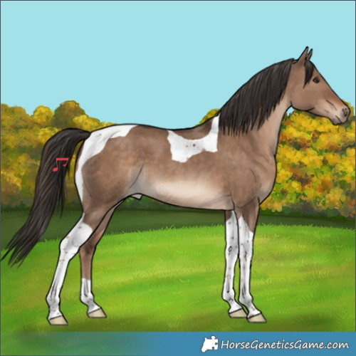 Horse Color:Liver Red Dun Tobiano 