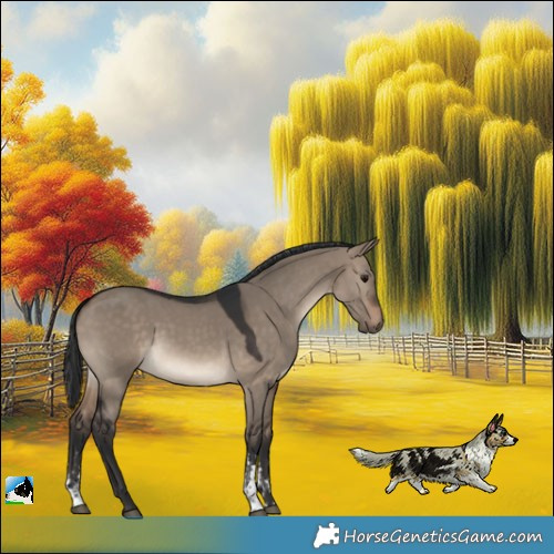 Horse Color:Brown Dun Sabino