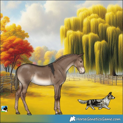 Horse Color:Liver Red Dun Rabicano