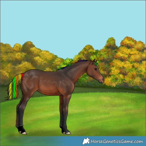 Horse Color:Painted Brown 