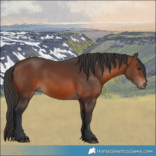 Horse Color:Brown 
