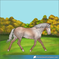 Horse Color:Gray Silver Classic Champagne Frame 