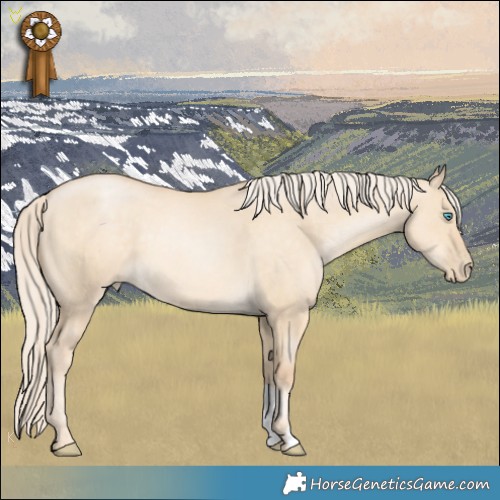 Horse Color:Palomino Pearl Dun
