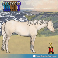 Horse Color:Palomino Pearl Dun 