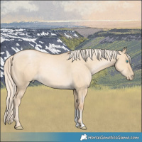 Horse Color:Palomino Pearl Dun 