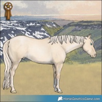 Horse Color:Palomino Pearl Dun 