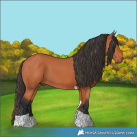 Horse Color:Bay Tobiano 