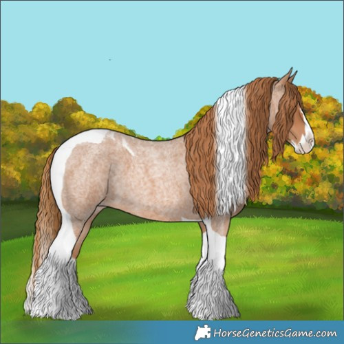 Horse Color:Red Roan Splash Tobiano 