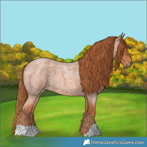 Horse Color:Red Roan 