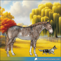 Horse Color:Liver Red Dun Sabino Rabicano Brindle