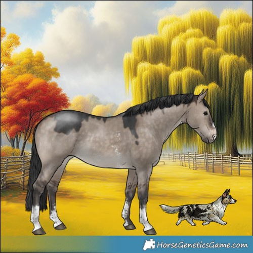 Horse Color:Brown Dun Mushroom Sabino Rabicano 