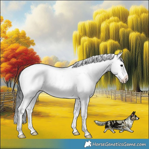 Horse Color:Brown Onyx Sabino Rabicano Brindle 