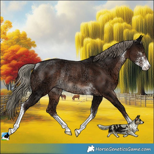 Horse Color:Liver Chestnut Ice Mushroom Sabino Rabicano