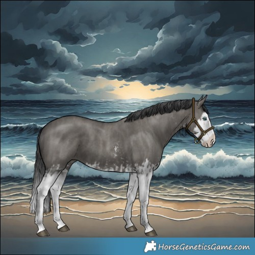 Horse Color:Grullo Sabino Splash  and Grullo Sabino Splash 