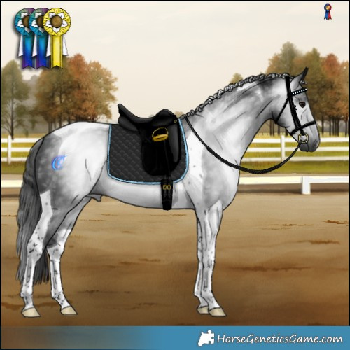 Horse Color:Gray Smoky Black Tobiano 
