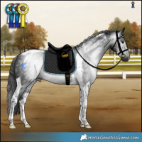 Horse Color:Gray Smoky Black Tobiano 