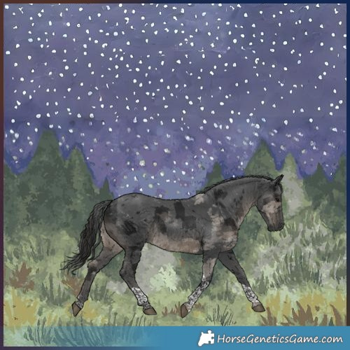 Horse Color:Gray Black Merle Tobiano 