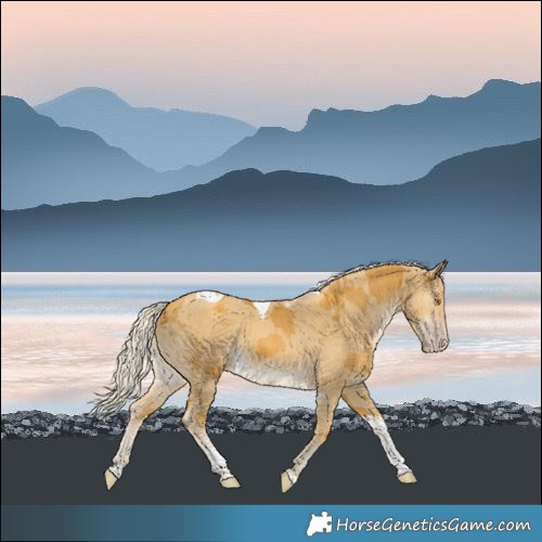 Horse Color:Silver Classic Cream Champagne Merle Tobiano 