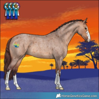 Horse Color:Chocolate Bay Roan Dun 