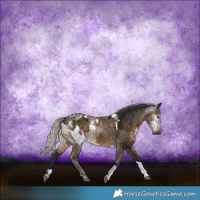 Horse Color:Gray Silver Brown Dun Tobiano Brindle and Gray Silver Grullo Merle Tobiano Appaloosa Brindle