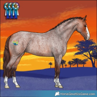 Horse Color:Chocolate Bay Roan