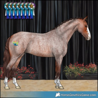 Horse Color:Chocolate Bay Roan 