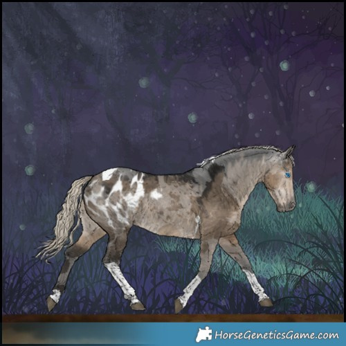 Horse Color:Gray Silver Smoky Grullo Merle Tobiano Appaloosa 